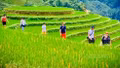 Lào Cai ban hành kế hoạch về phát triển du lịch thông minh