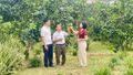 Văn hóa Đảng, văn hóa công vụ bắt đầu từ trách nhiệm với Nhân dân