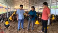 Nghị quyết 21 tạo đòn bẩy phát triển chăn nuôi ở Xuân Ái