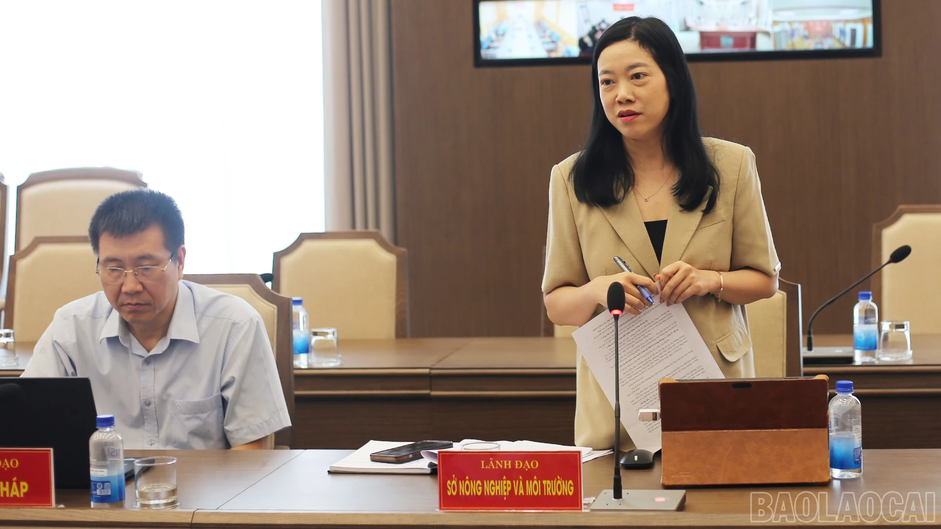 baolaocai-br_img-1162.jpg