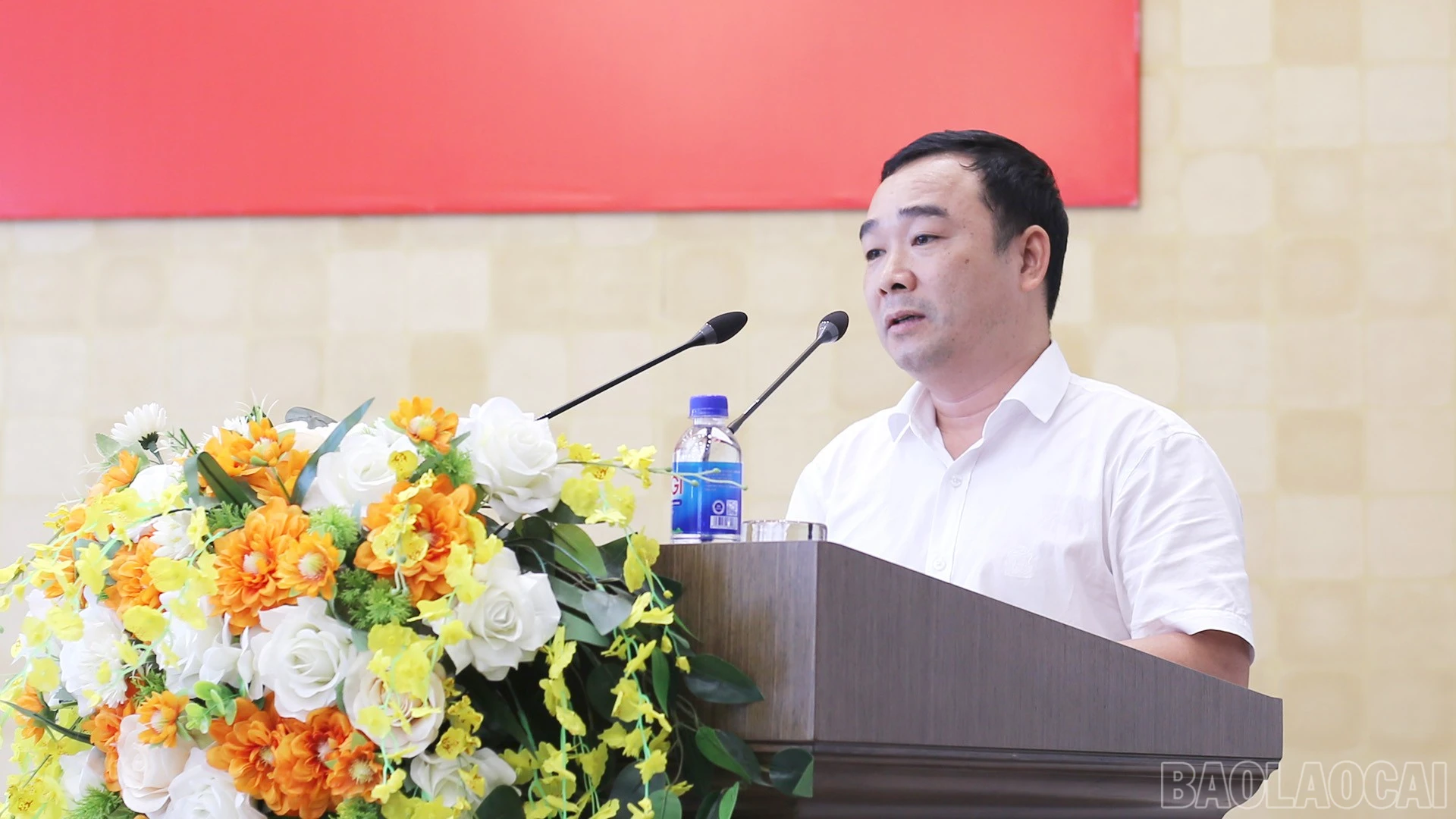 baolaocai-br_img-8497.jpg
