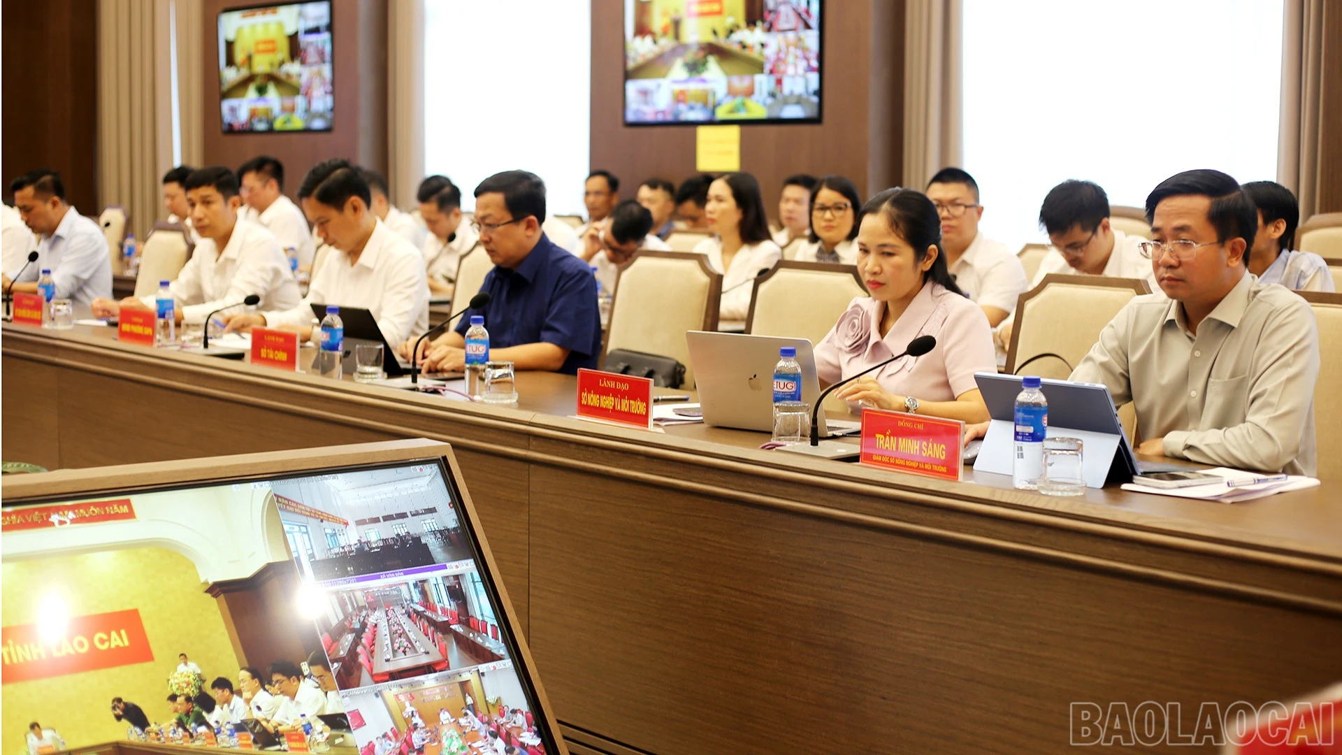 baolaocai-br_img-8451.jpg