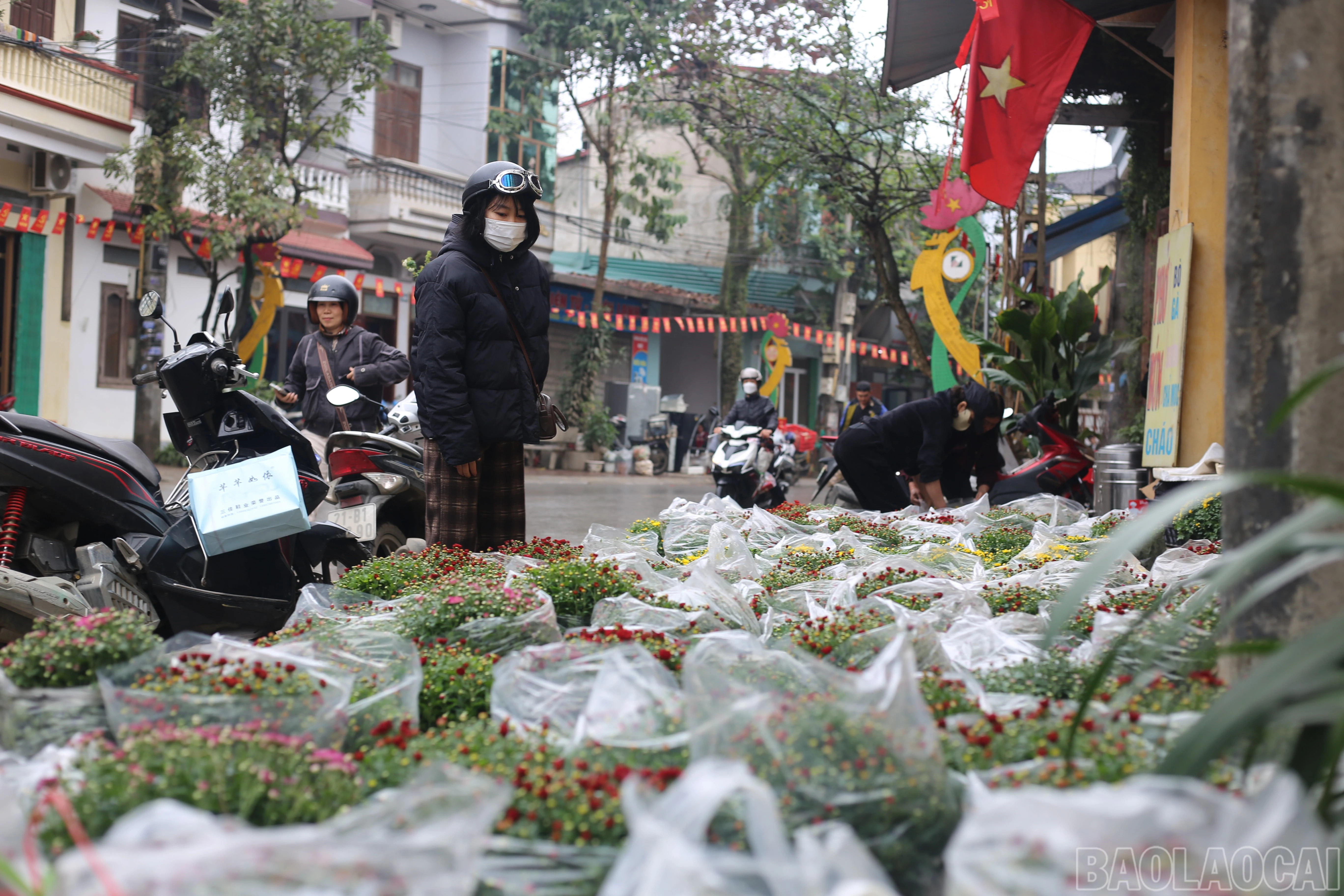 baolaocai-br_img-9918.jpg
