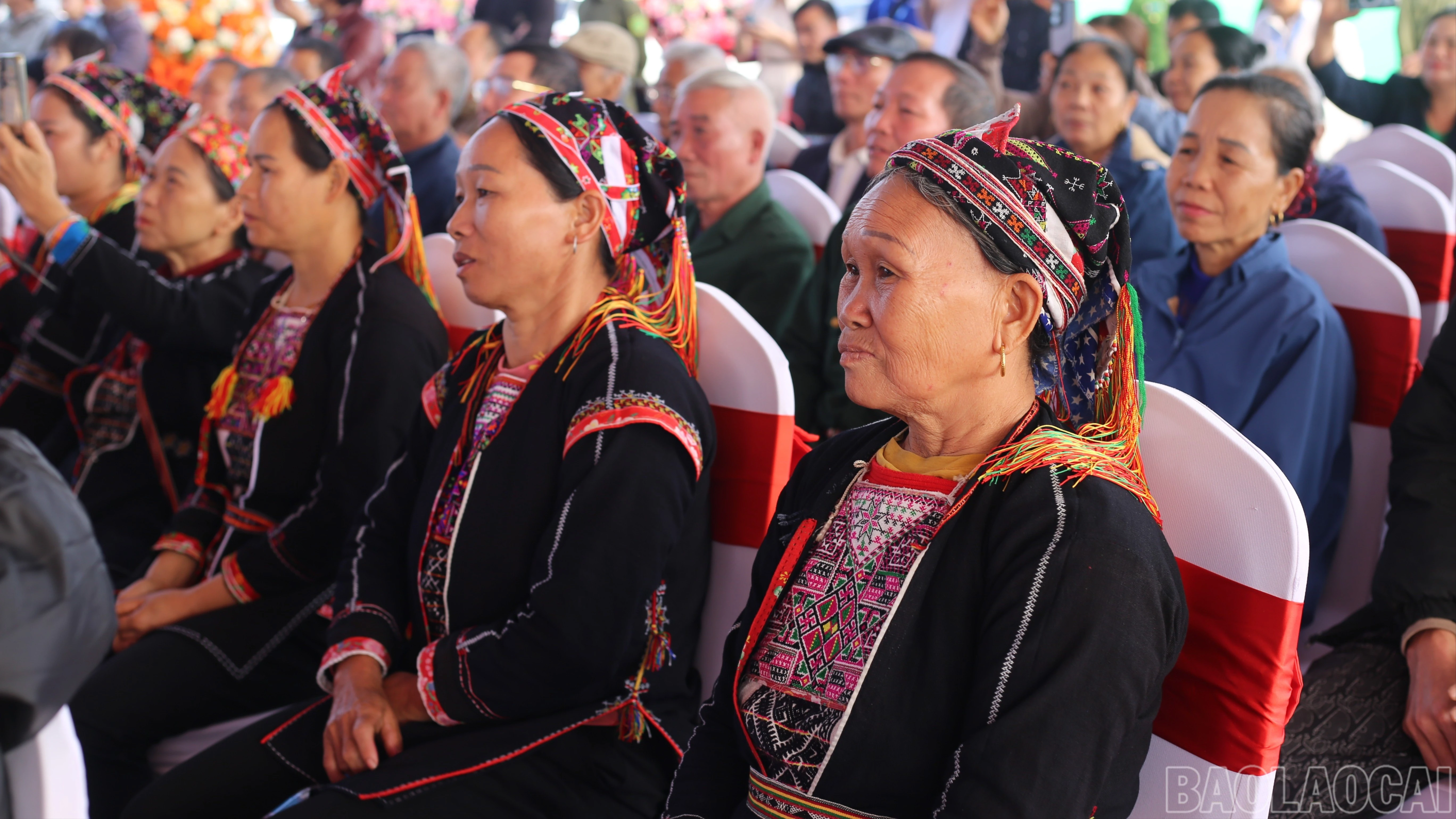 baolaocai-br_img-8275-2798.jpg
