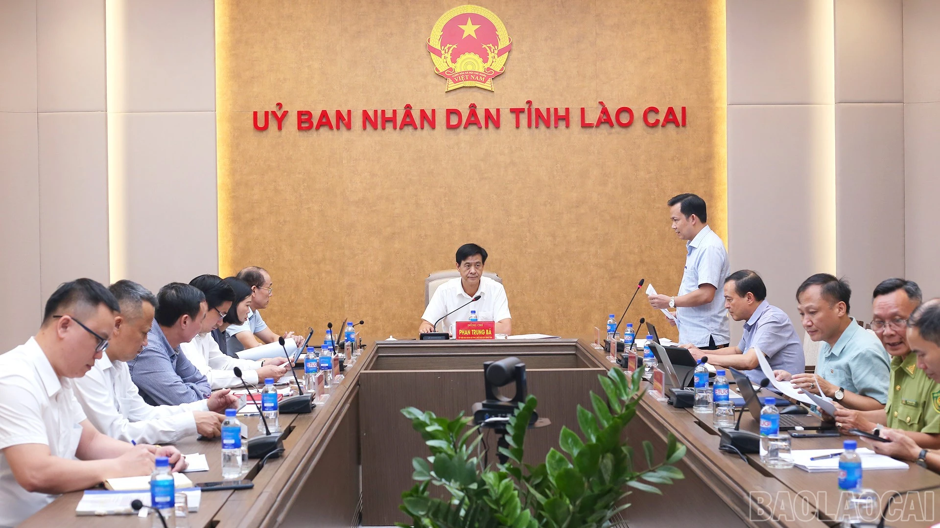 baolaocai-br_img-8745.jpg