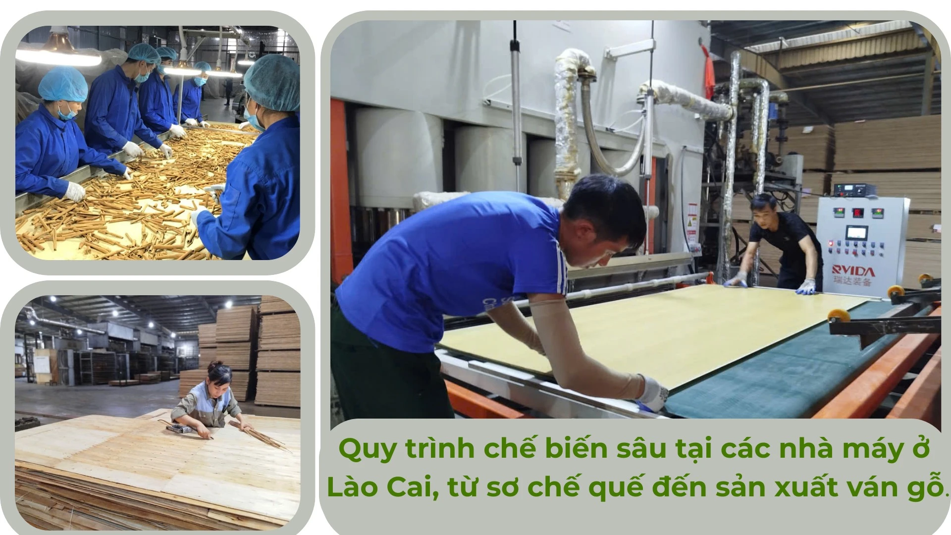 anh-che-bien-sau-chu-dam.png