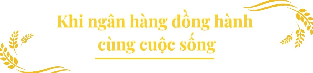 tit-2.png
