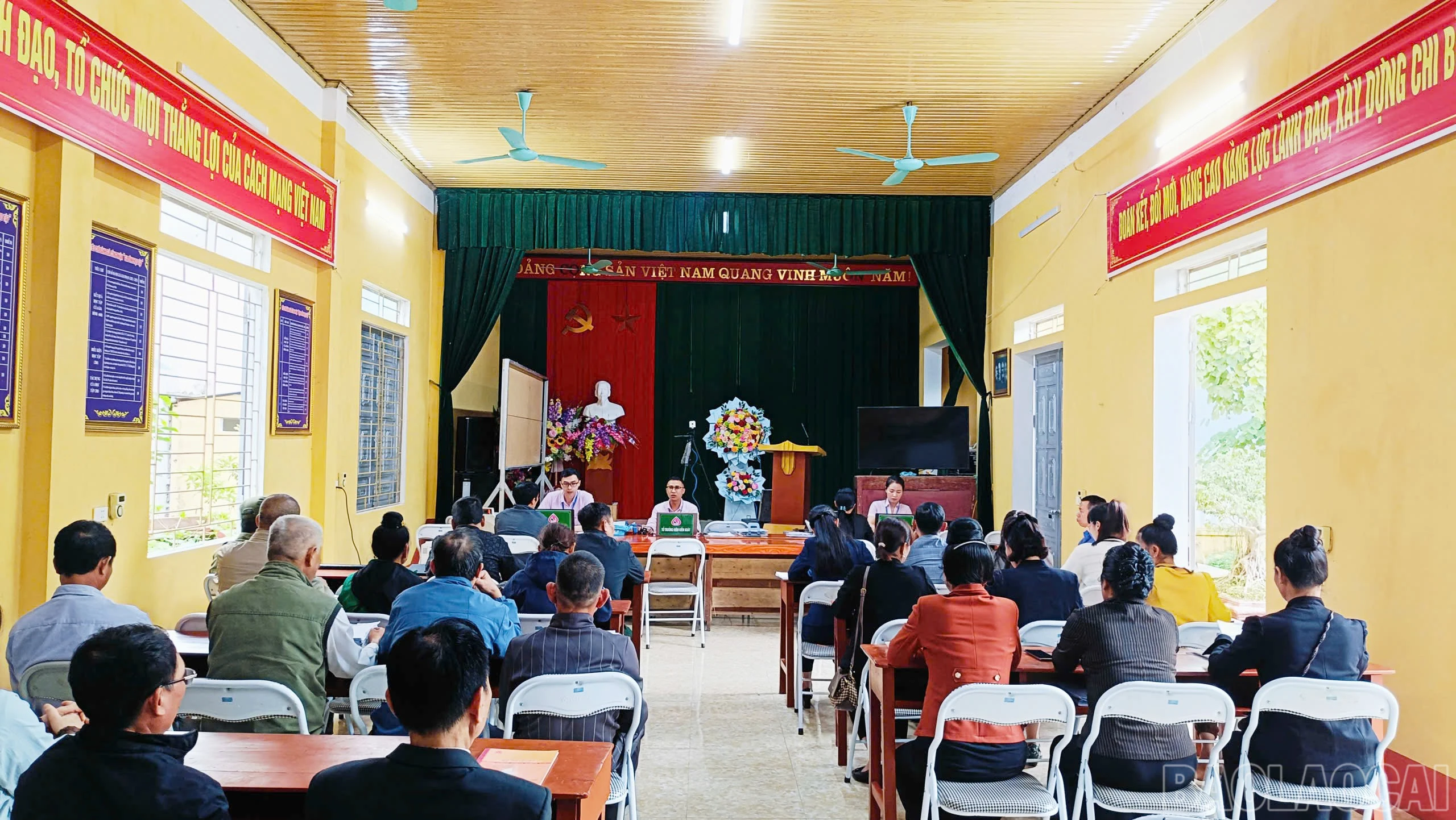baolaocai-br_anh-33-6494.jpg