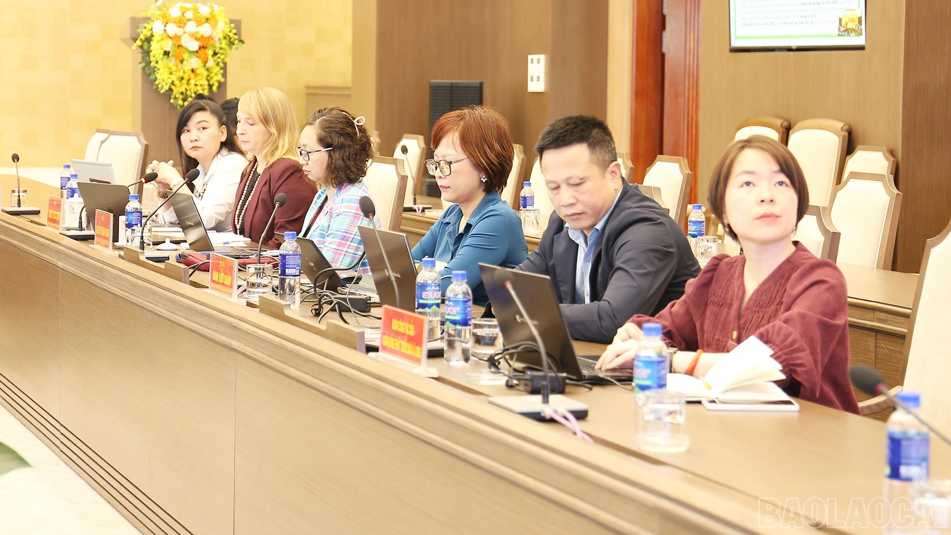 baolaocai-br_img-0766.jpg