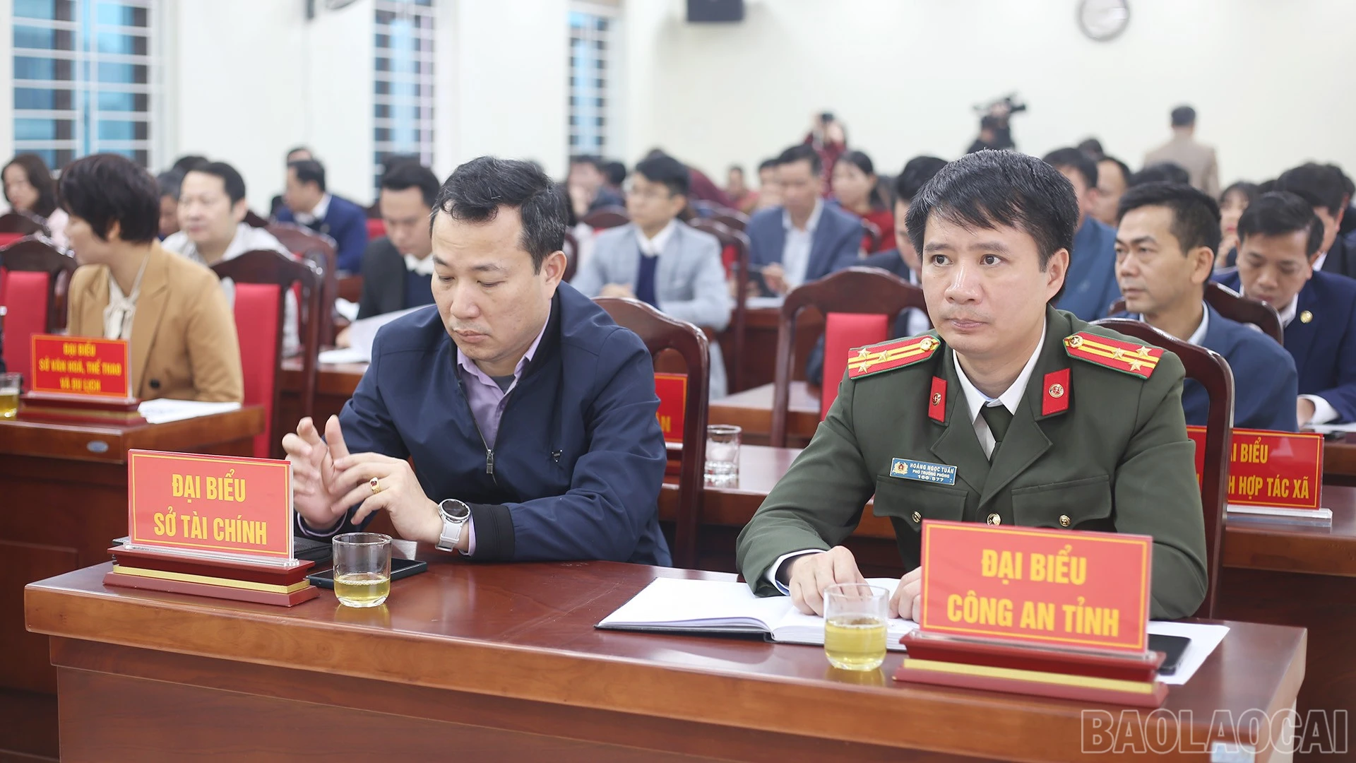 baolaocai-br_img-9578.jpg
