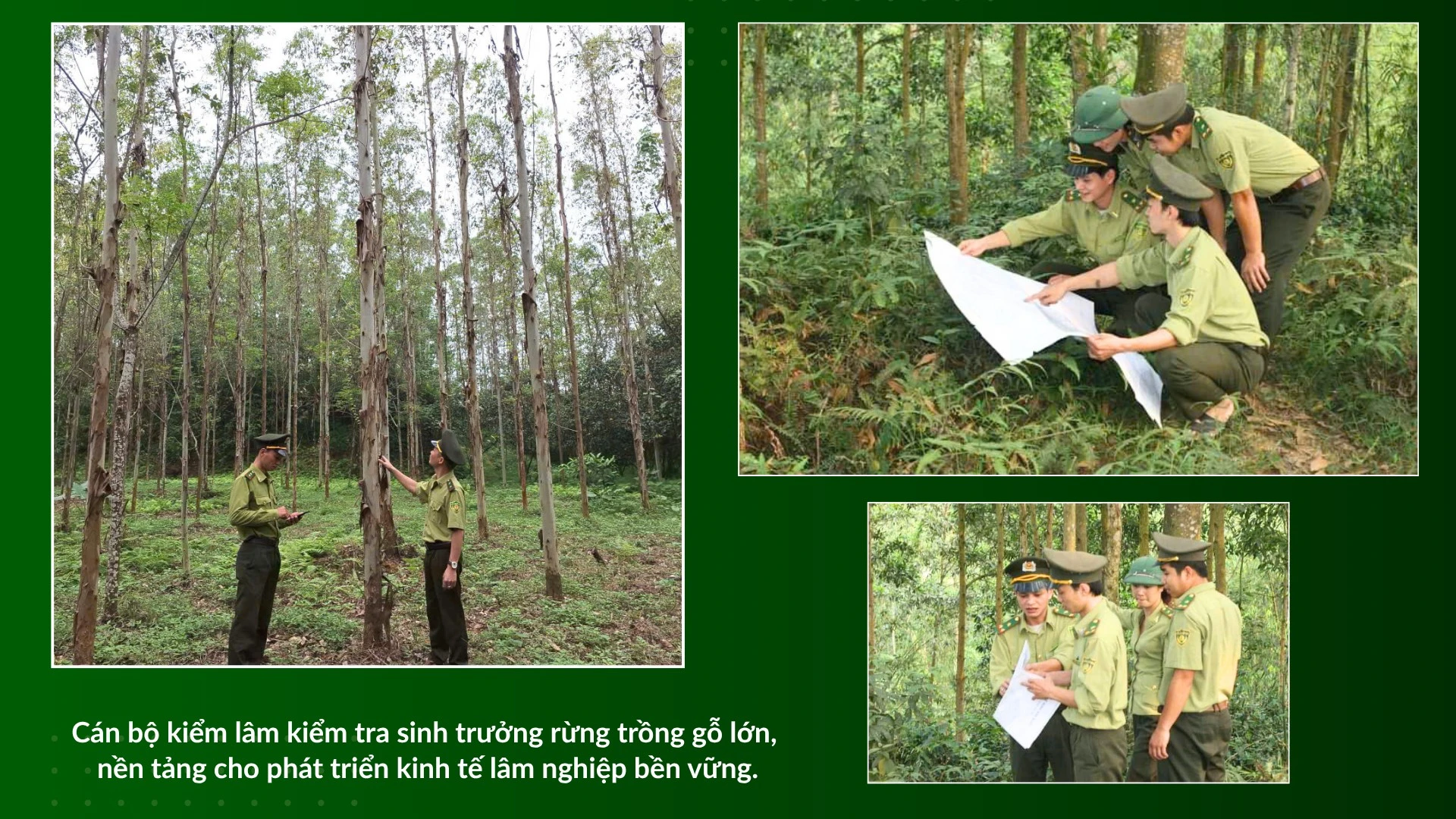 can-bo-kiem-lam-kiem-tra-sinh-truong-rung-go-lon.png
