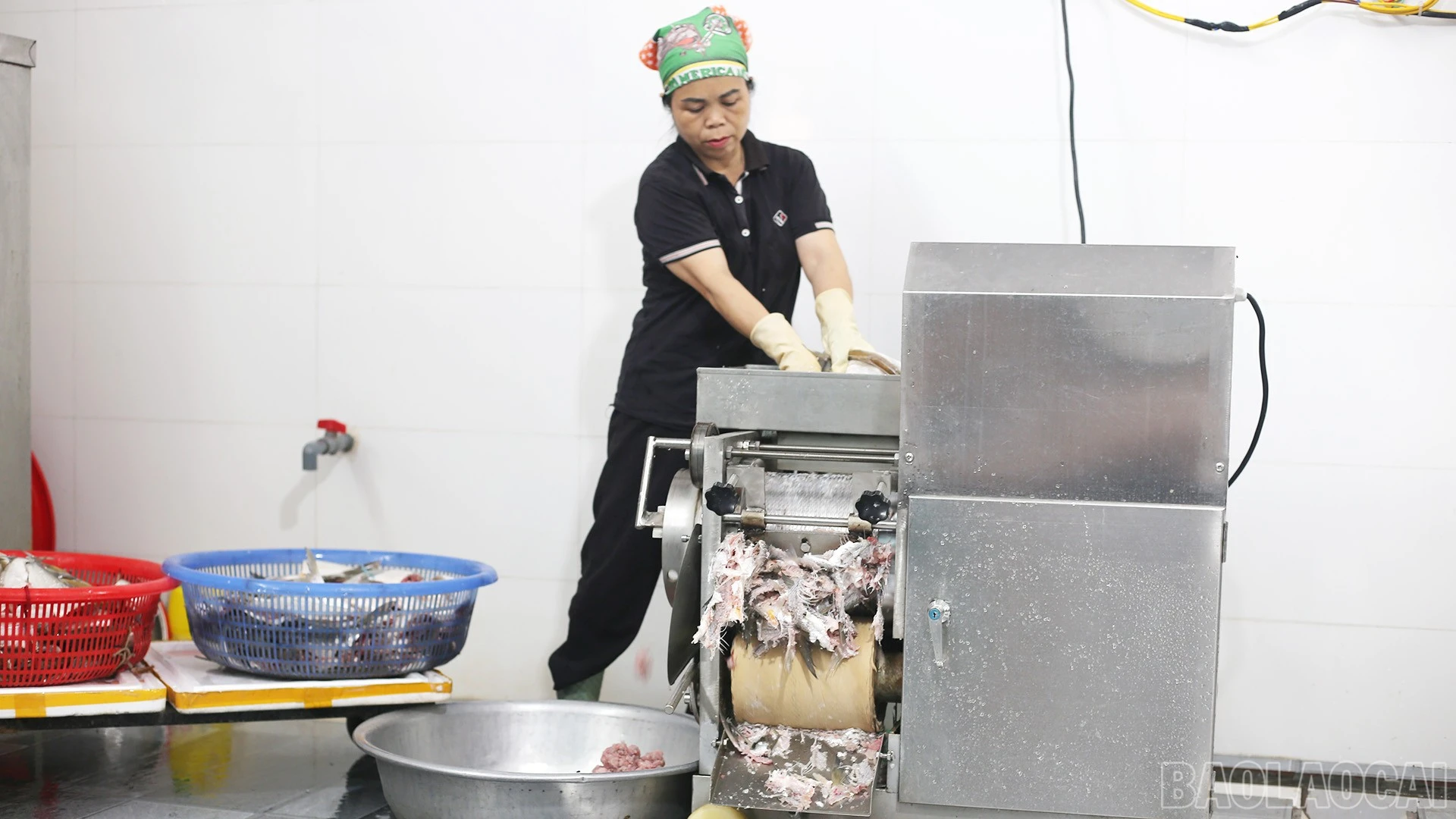 baolaocai-br_img-7779.jpg
