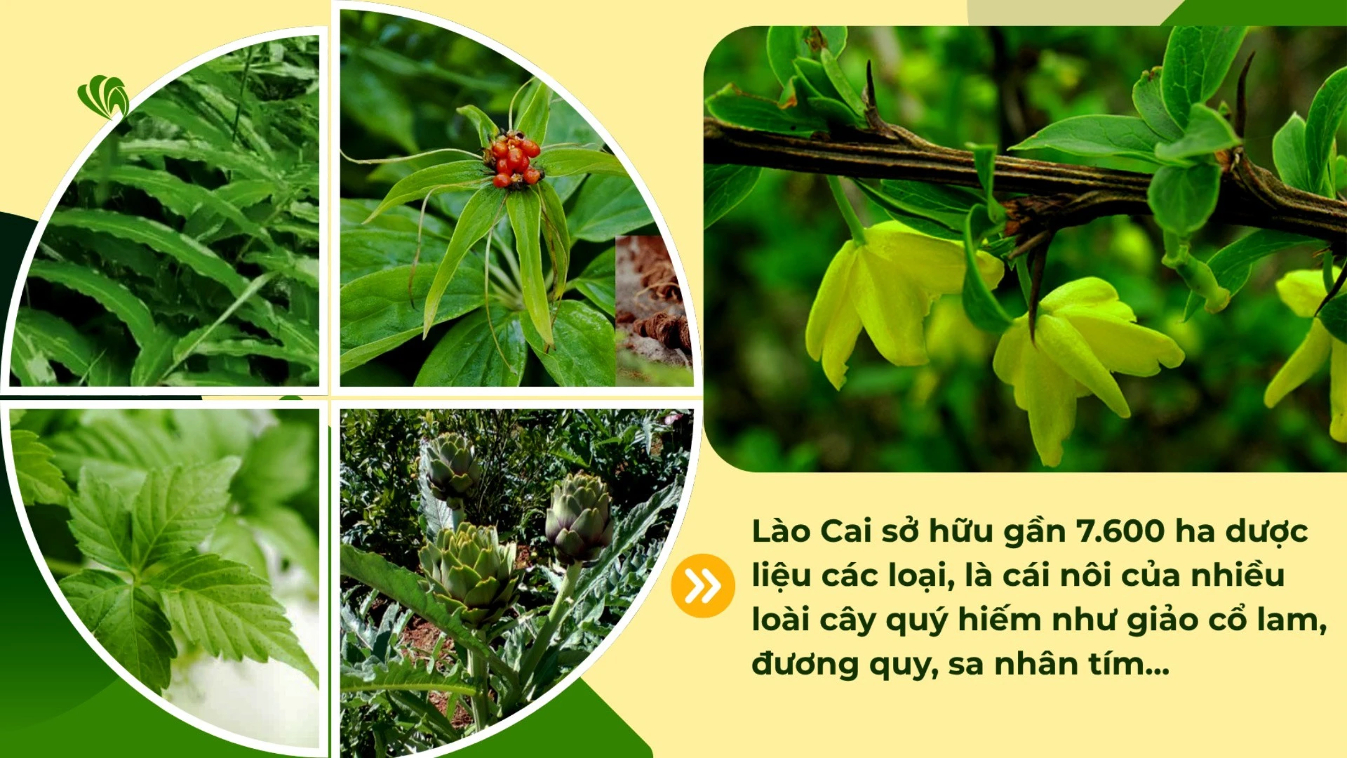 anh-1-6147.jpg