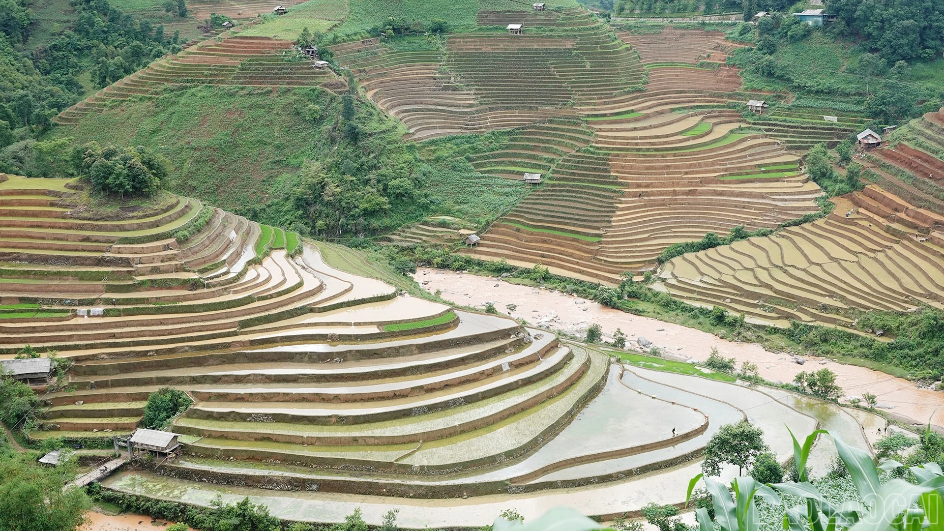 baolaocai-br_img-6994.jpg