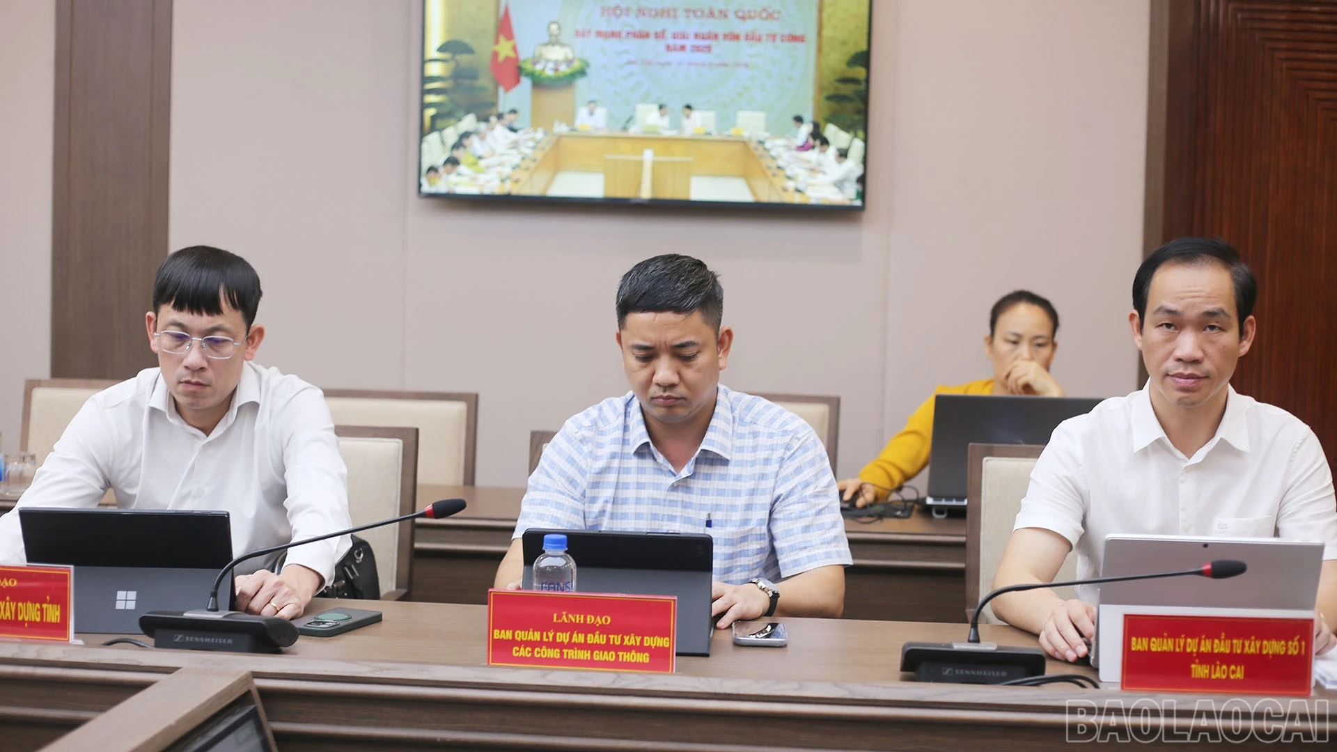 baolaocai-br_img-1330.jpg