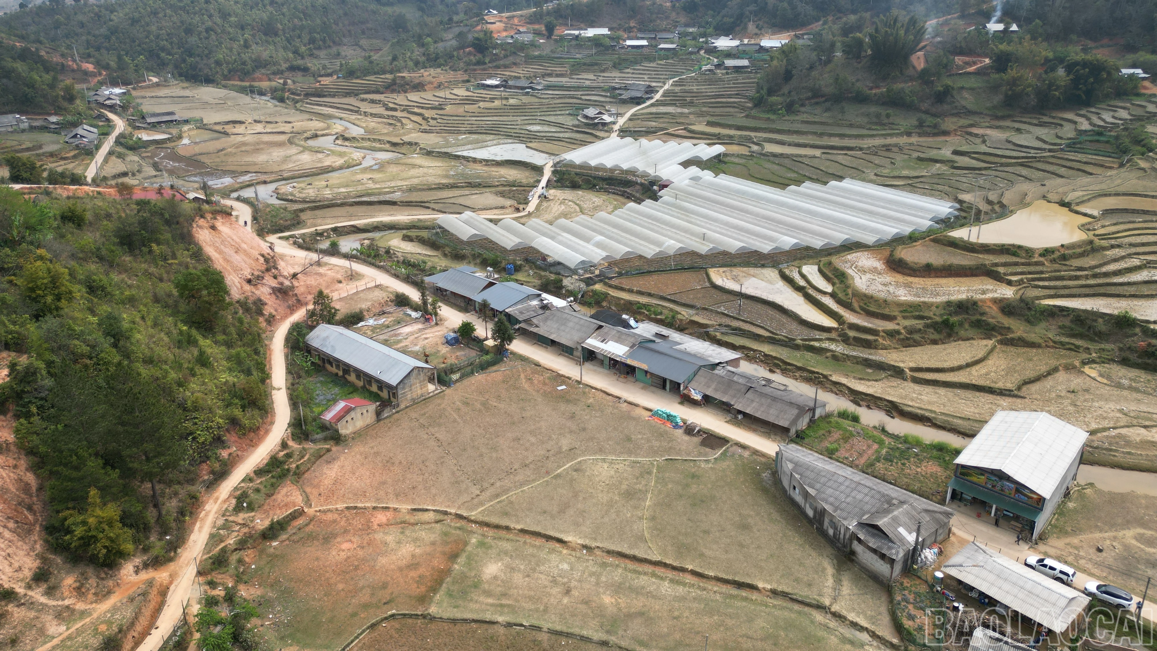 baolaocai-br_im-00090.jpg