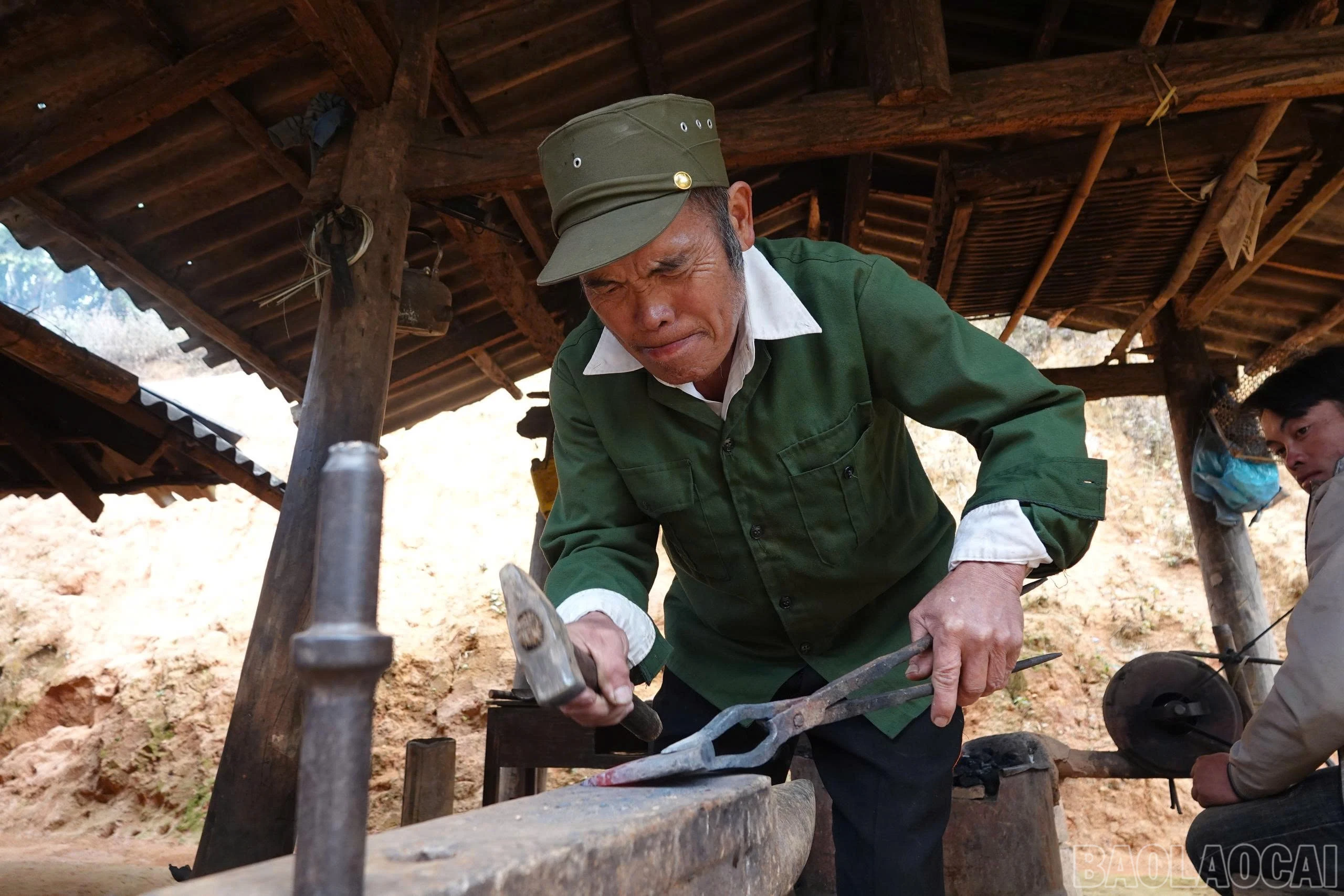 baolaocai-br_8.jpg