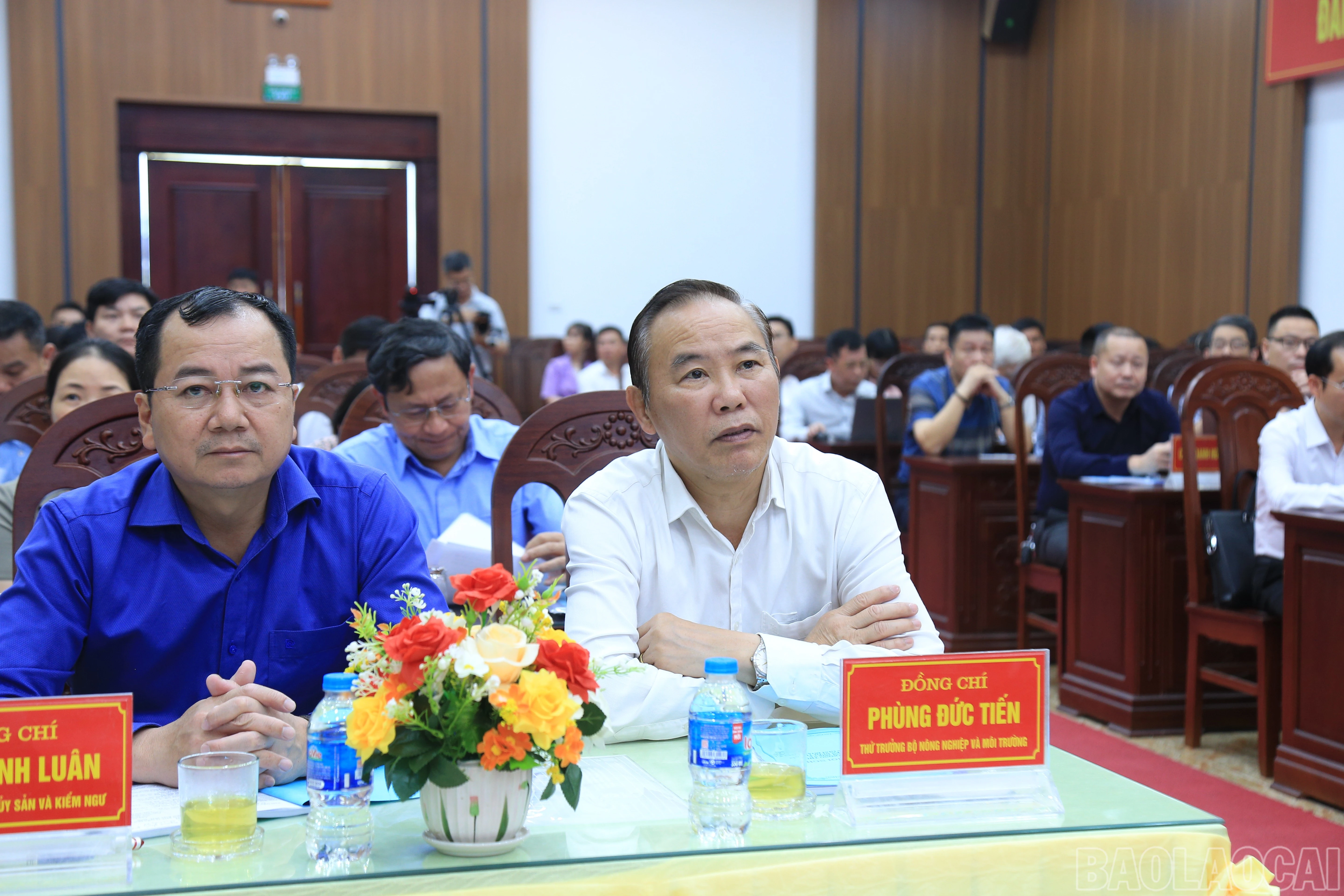 baolaocai-br_338a4997.jpg