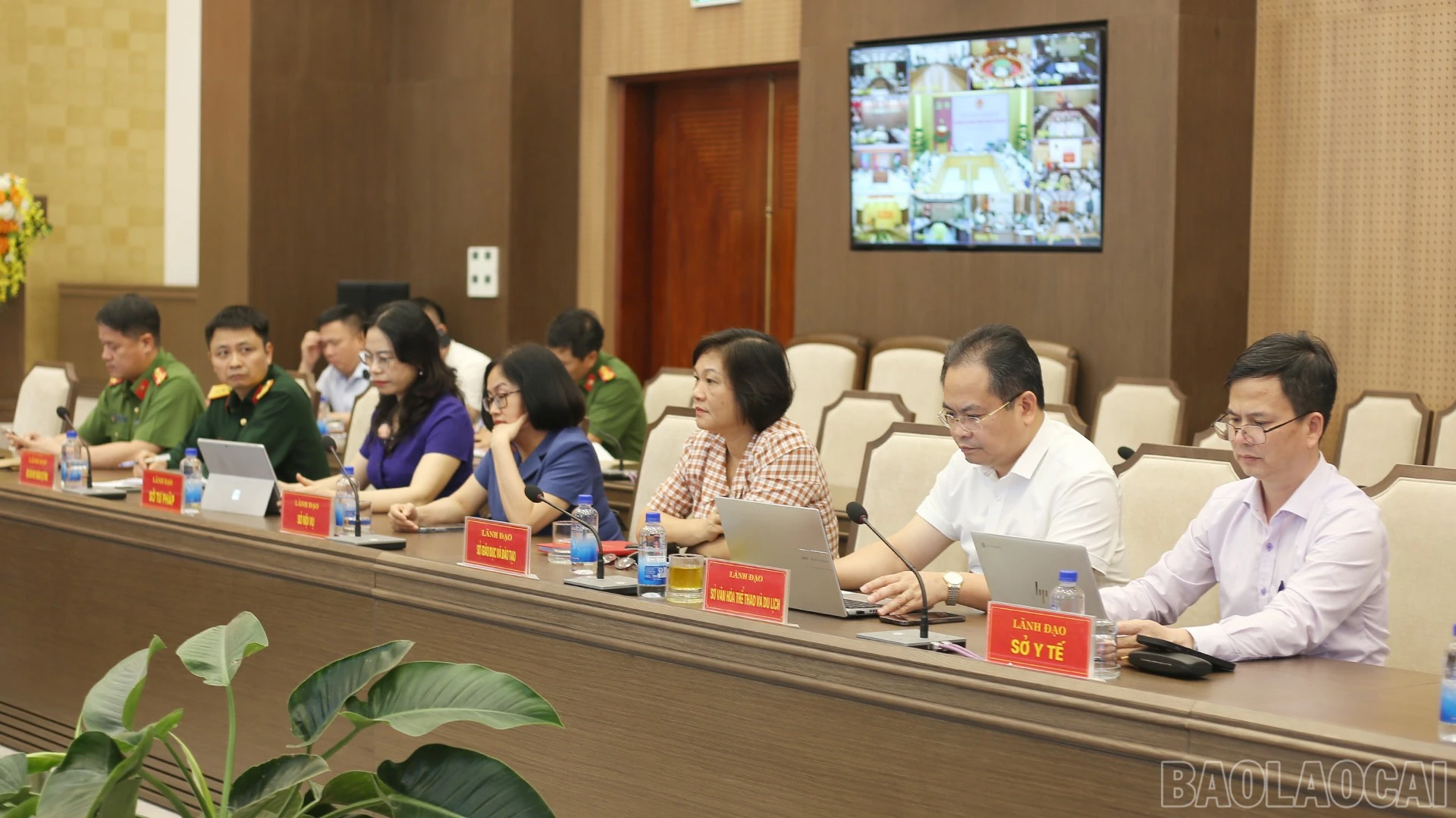 baolaocai-br_img-0956.jpg