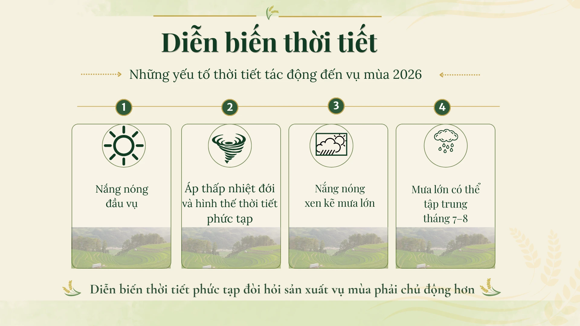 info-002.png