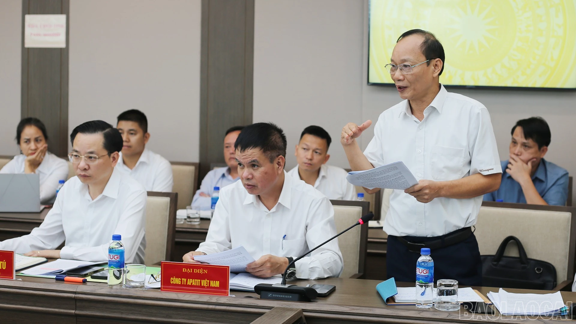 baolaocai-br_img-8863.jpg