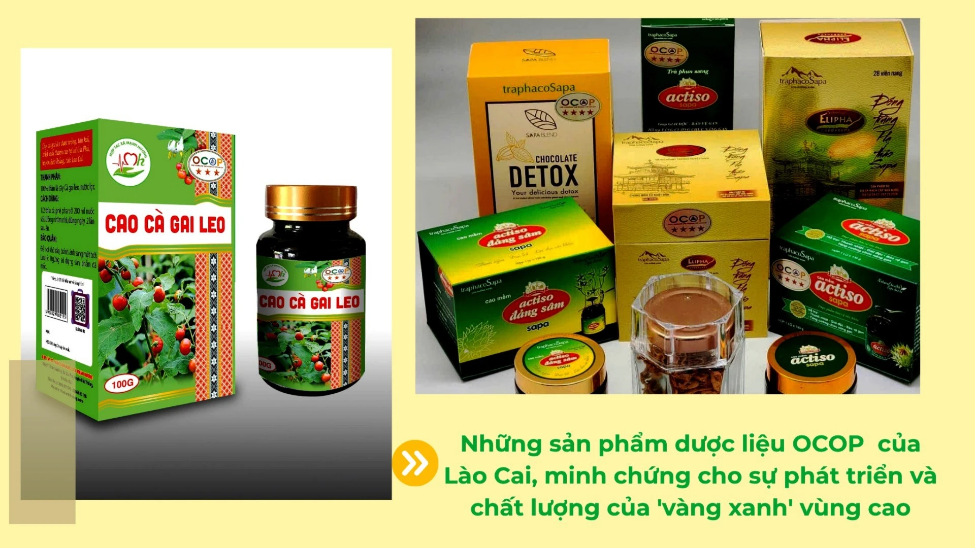 cac-san-pham-ocop-duoc-lieu-7691.jpg