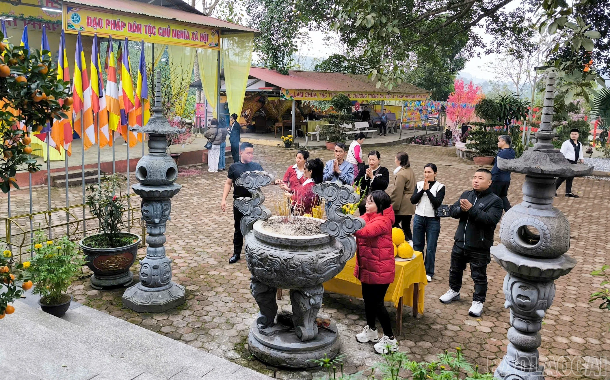 baolaocai-br_z7544113420272-9bb8858fa1d0188ff0f815999ae8bd2b-1528.jpg