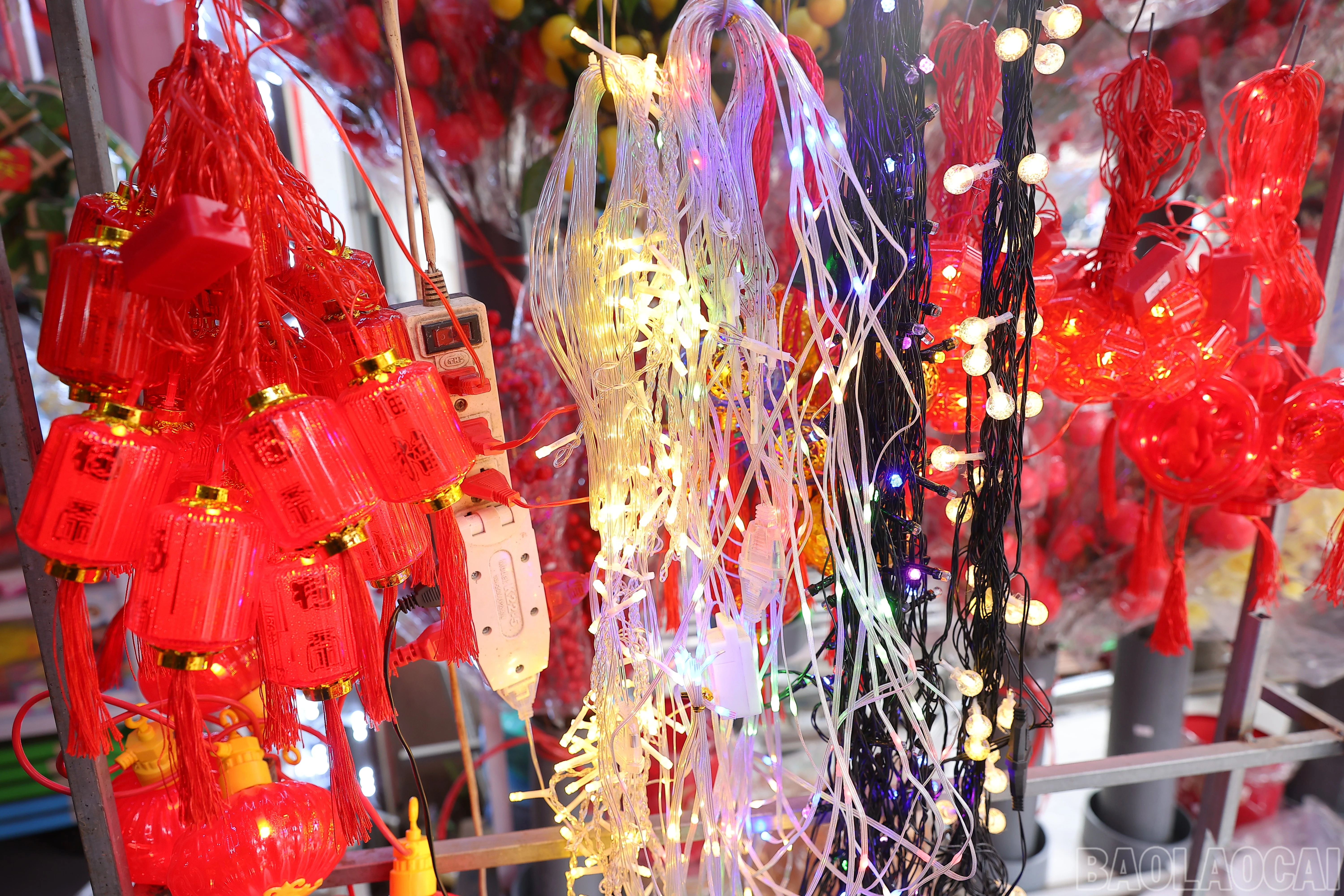baolaocai-br_img-6723.jpg