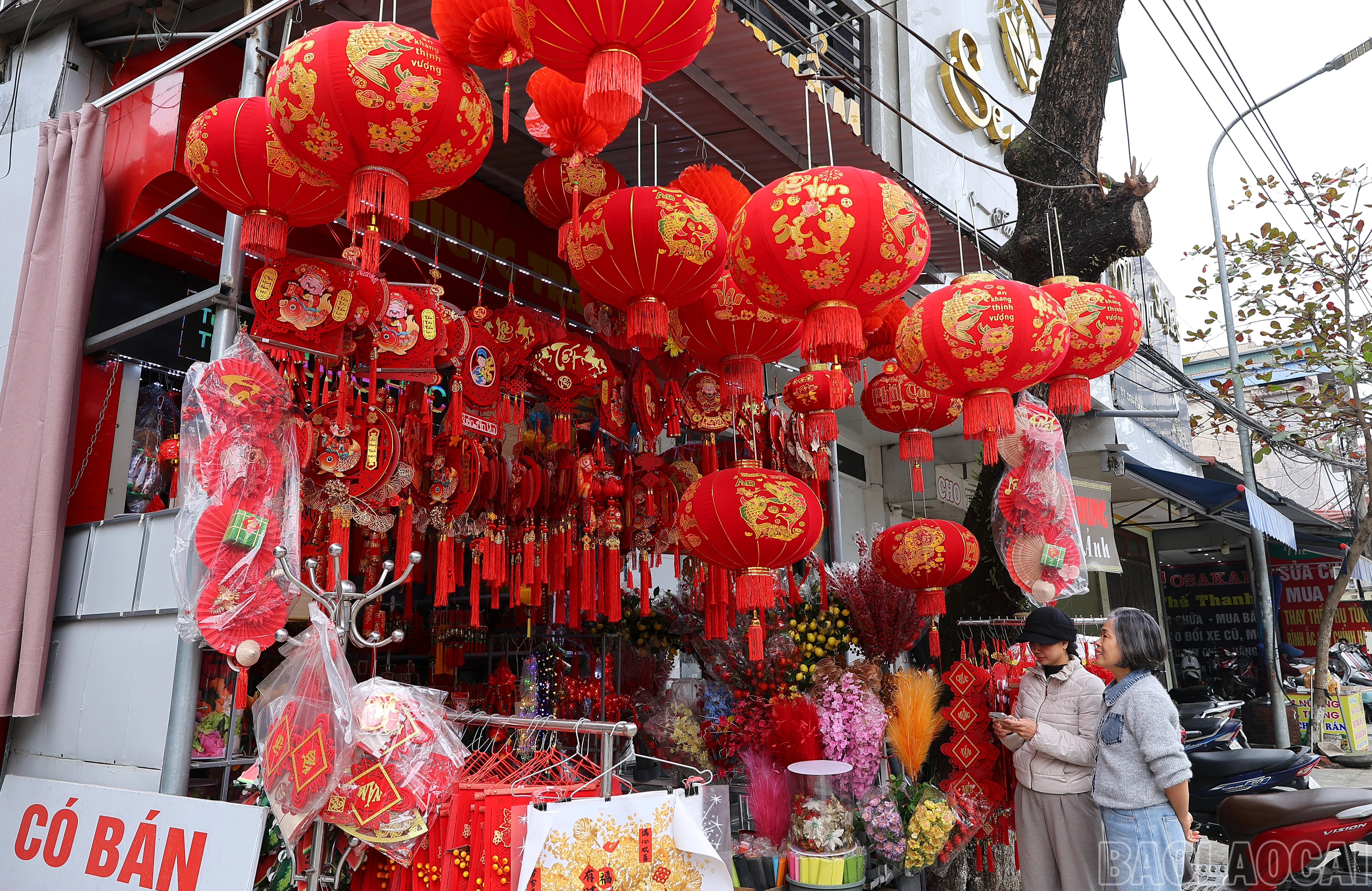 baolaocai-br_img-6761.jpg