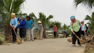 Dọn làng đón Tết