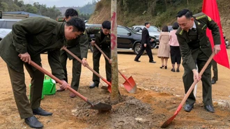 Trồng cây đầu xuân – mong mùa quả ngọt