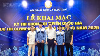 Học sinh Trường THPT Chuyên Lào Cai xếp thứ 8/38 tại Kỳ thi chọn đội tuyển Tin học quốc gia