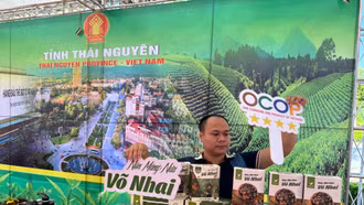 Chuẩn bị các gian hàng trong khuôn khổ Hội nghị “Gặp gỡ Thái Lan”