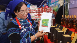 Hấp dẫn các hoạt động tại Lễ hội đền Mẫu Trịnh Tường 