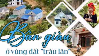 Bản giàu ở vùng đất “trâu lăn”