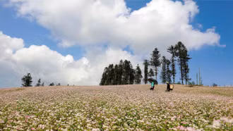 [Ảnh] Vẻ đẹp Si Ma Cai