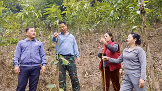 Hội Nông dân xã Bảo Hà phát huy vai trò hỗ trợ nông dân sản xuất, kinh doanh