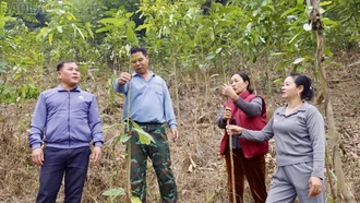 Hội Nông dân xã Bảo Hà phát huy vai trò hỗ trợ nông dân sản xuất, kinh doanh