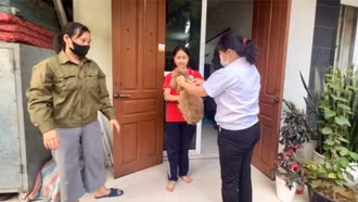 Tăng miễn nhiễm bệnh dại cho đàn chó mèo