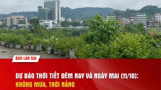 Dự báo thời tiết đêm nay và ngày mai (11/10): Không mưa, trời nắng