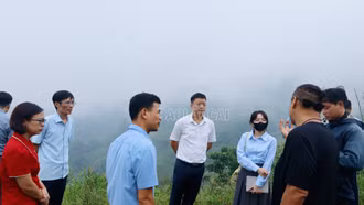 Đoàn công tác của Hiệp hội Ẩm thực Nhật Bản - Việt Nam khảo sát vùng thực hiện dự án tam giác mạch tại thành phố Lào Cai