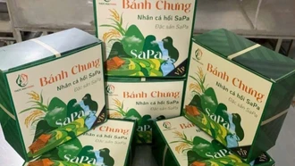 Độc đáo món bánh chưng nhân cá hồi ngày Tết