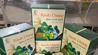 Độc đáo bánh chưng nhân cá hồi