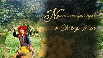 Người ươm quả ngọt ở Chiềng Ken