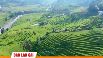 Thung lũng Mường Hoa rợp màu “hy vọng”