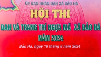 Hấp dẫn Hội thi đan và trang trí ngựa mã Bảo Hà 2024