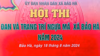 Hấp dẫn Hội thi đan và trang trí ngựa mã Bảo Hà 2024