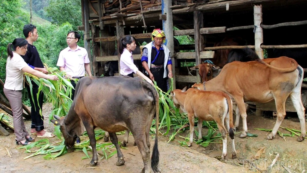 Nhiều mô hình kinh tế do phụ nữ làm chủ đã góp phần nâng cao thu nhập, tạo nguồn lực cùng địa phương xây dựng nông thôn mới.