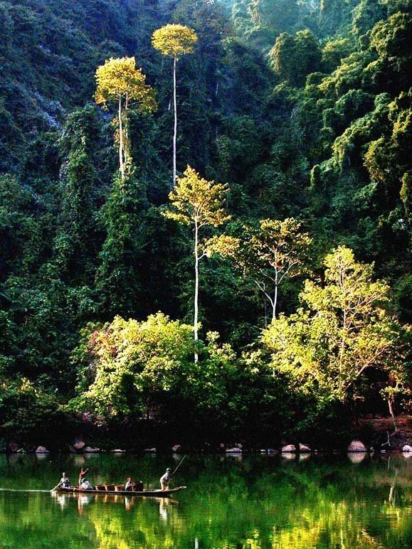 "Ơi câu hò xứ sở, sao thắm đượm tình quê".