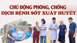 Chủ động phòng, chống dịch bệnh sốt xuất huyết